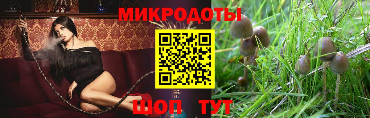 Псилоцибиновые грибы MAGIC MUSHROOMS  Вход с VPN  цена наркотик  Владикавказ 